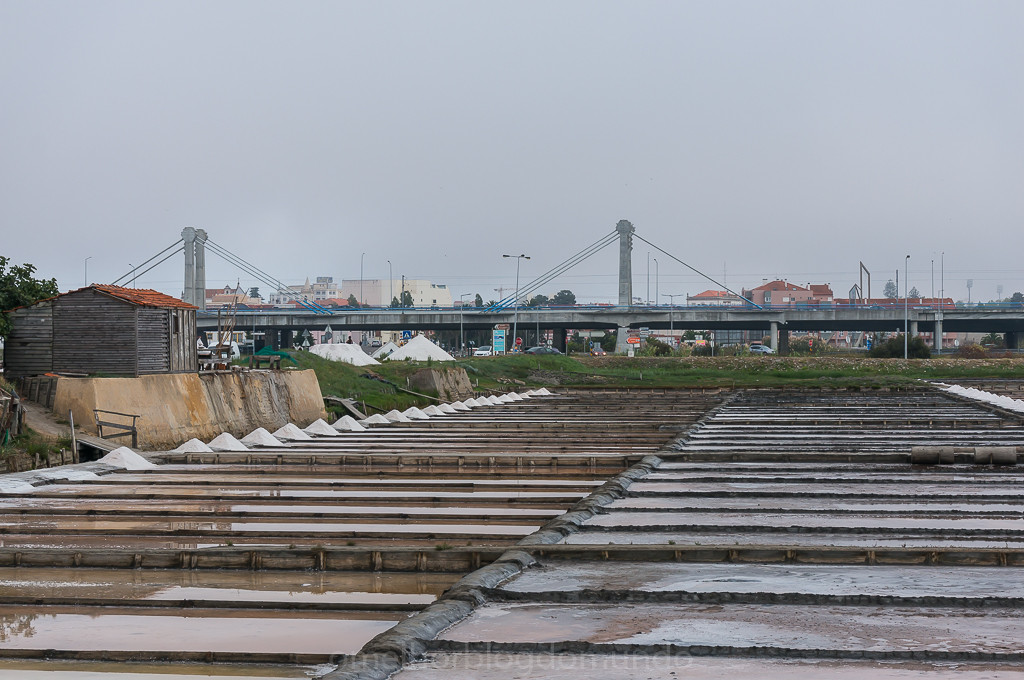 DSC05061.jpg DSC05061.jpg