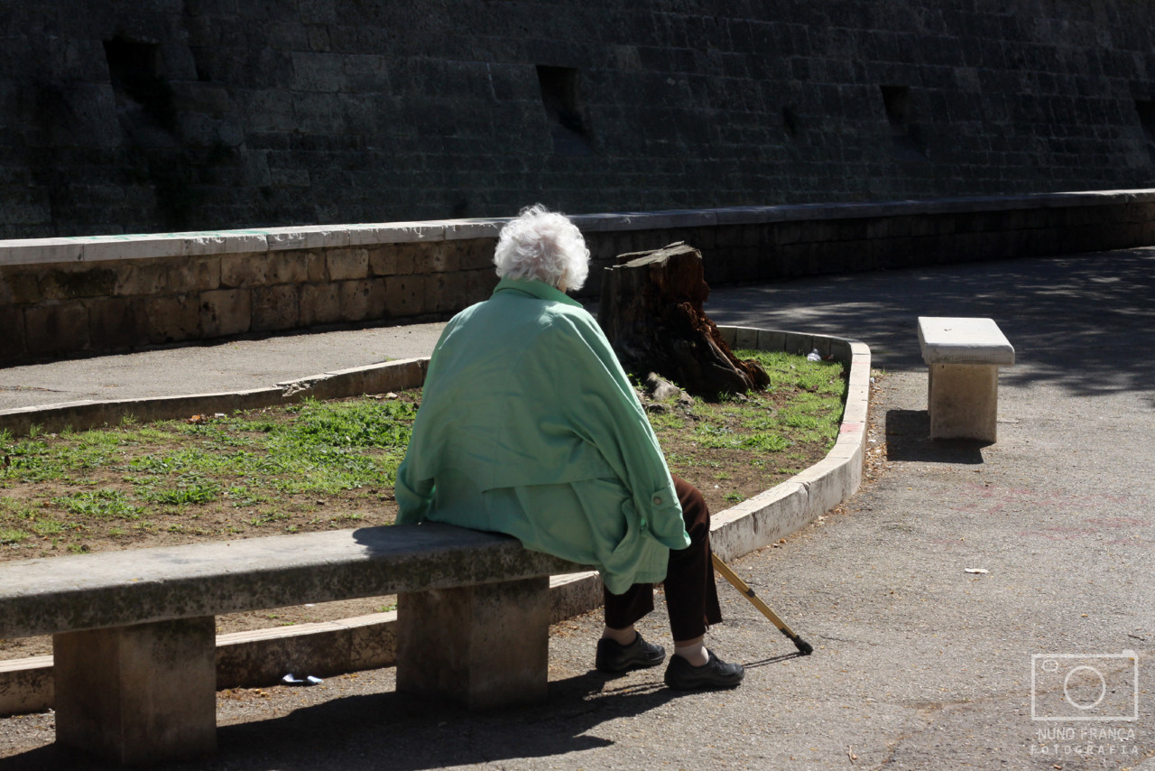 IMG_5754_net.jpg IMG_5754_net.jpg