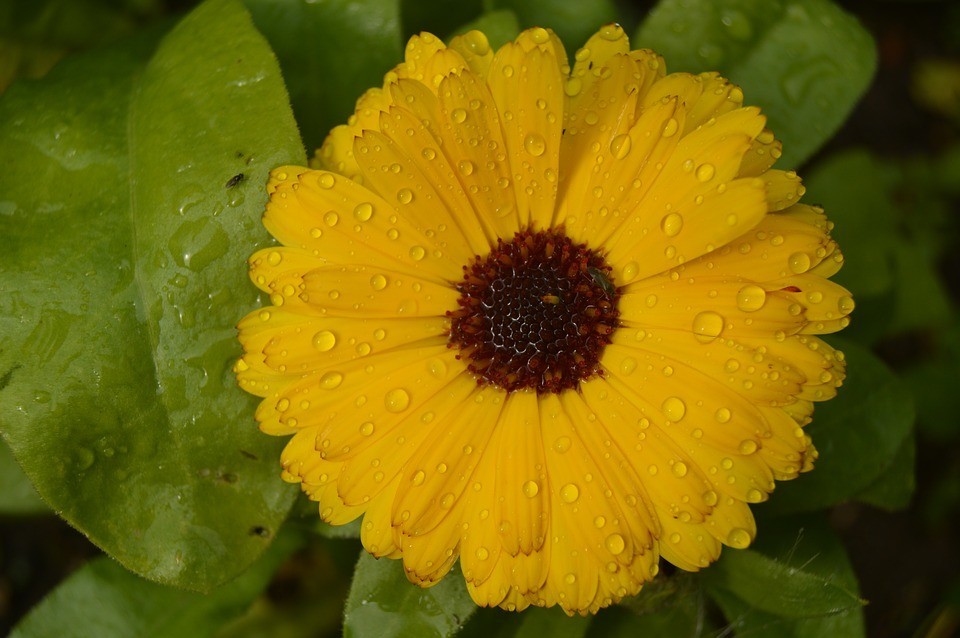 Empresta me um sonho-2018008_960_720.jpg