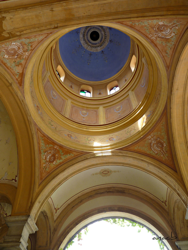 P1380014 cópia assin.jpg