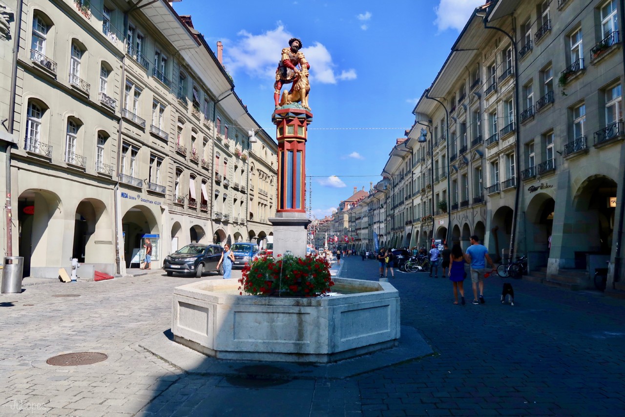 IMG_8648.jpg IMG_8648.jpg