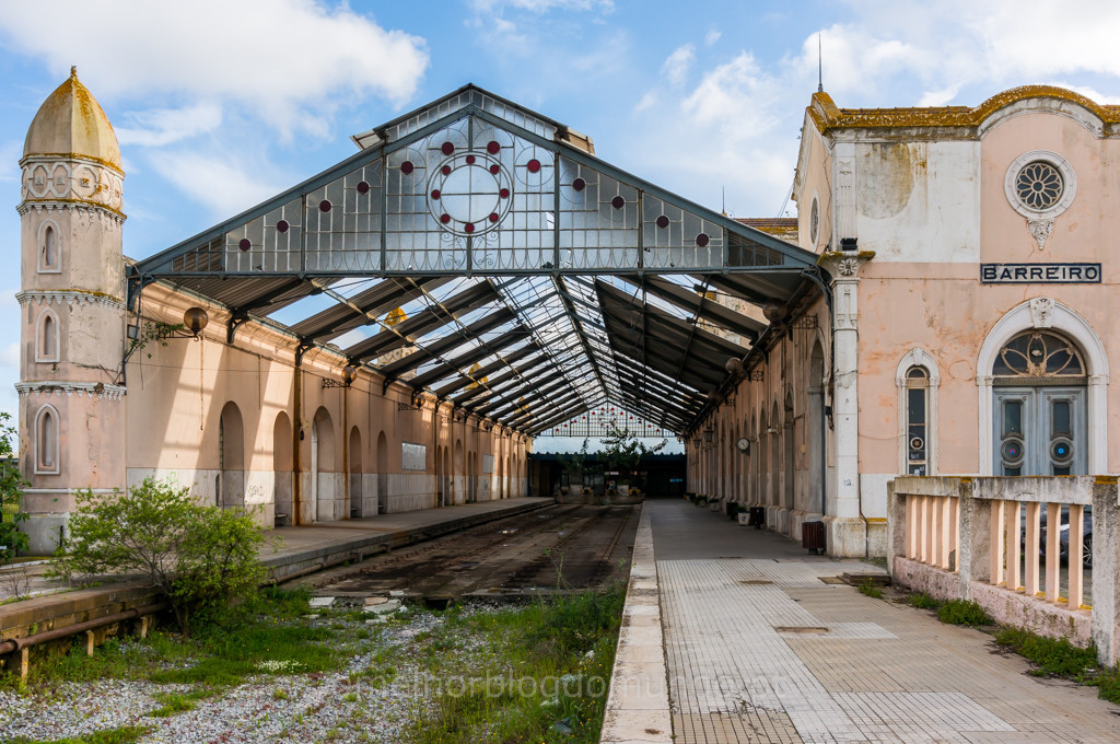 _DSC5604.jpg _DSC5604.jpg