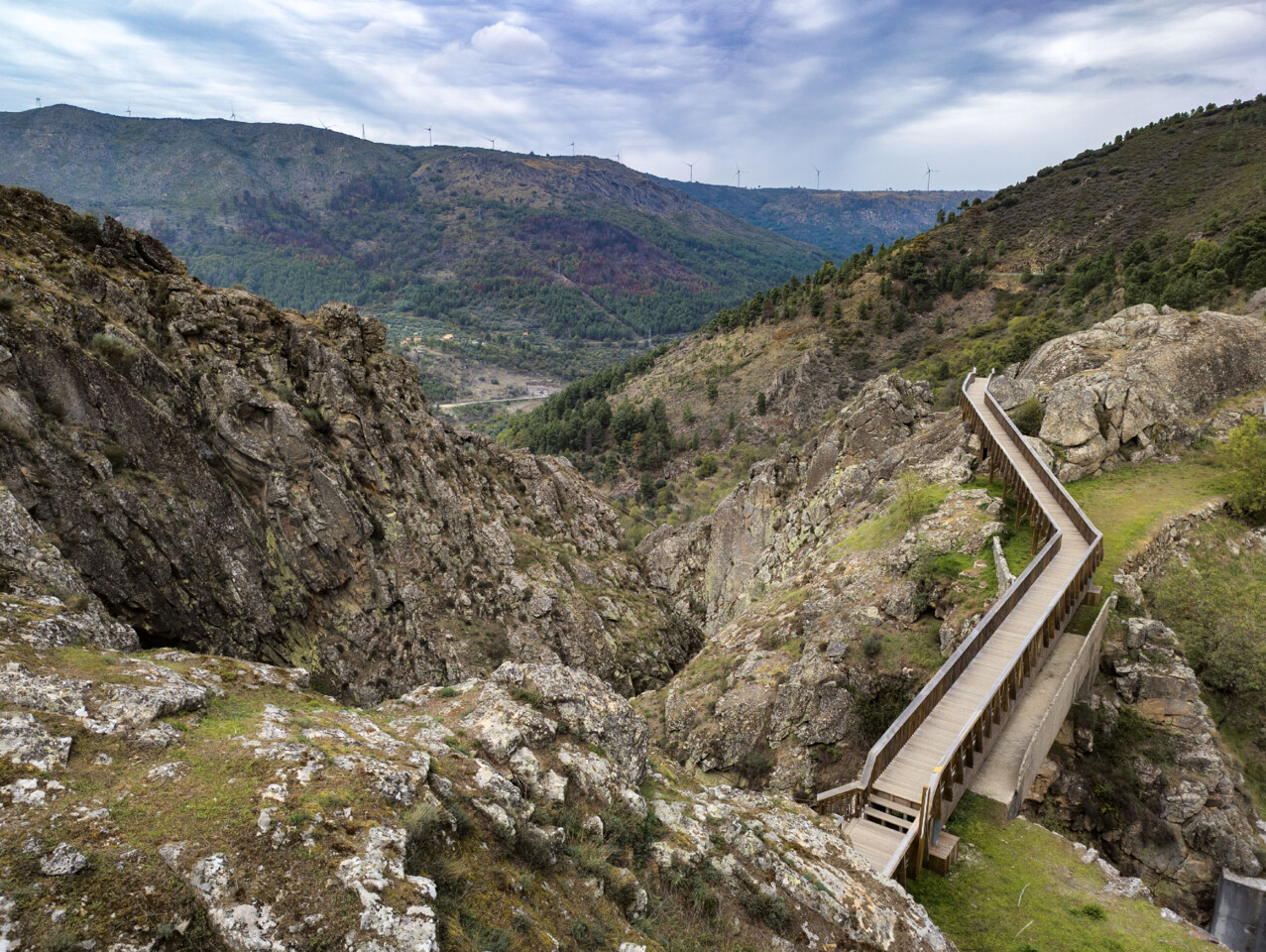 Passadiços do Mondego2.jpg