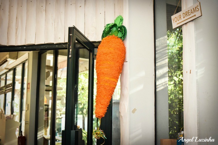 Angel Luzinha Fotografia-0918_BLOG.jpg