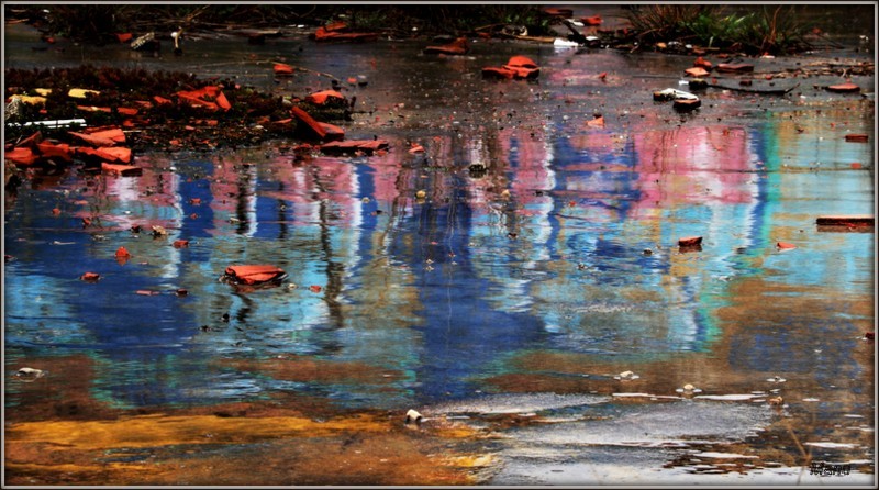 _MG_1622 sombras.jpg _MG_1622 sombras.jpg