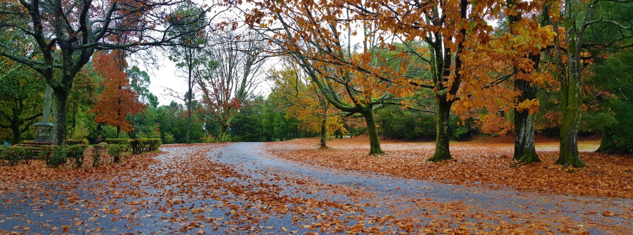 20181121_114832.jpg 20181121_114832.jpg