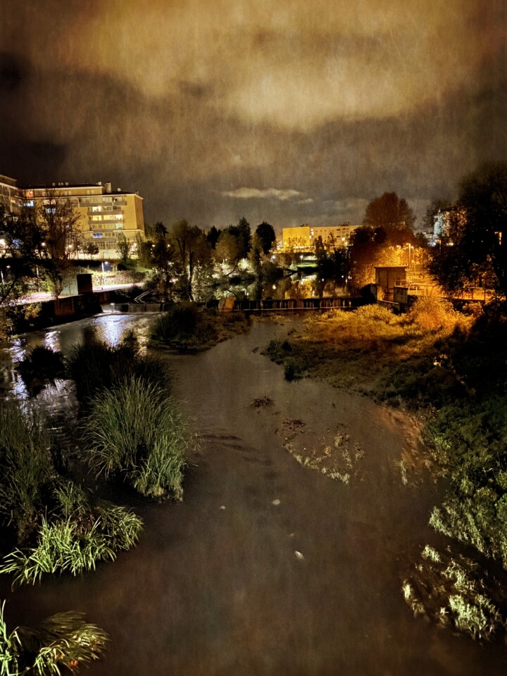 IMG_2974 - cópia.jpg