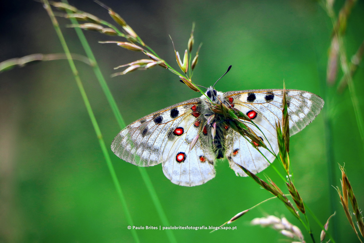 DSC_11219-1-3.jpg DSC_11219-1-3.jpg