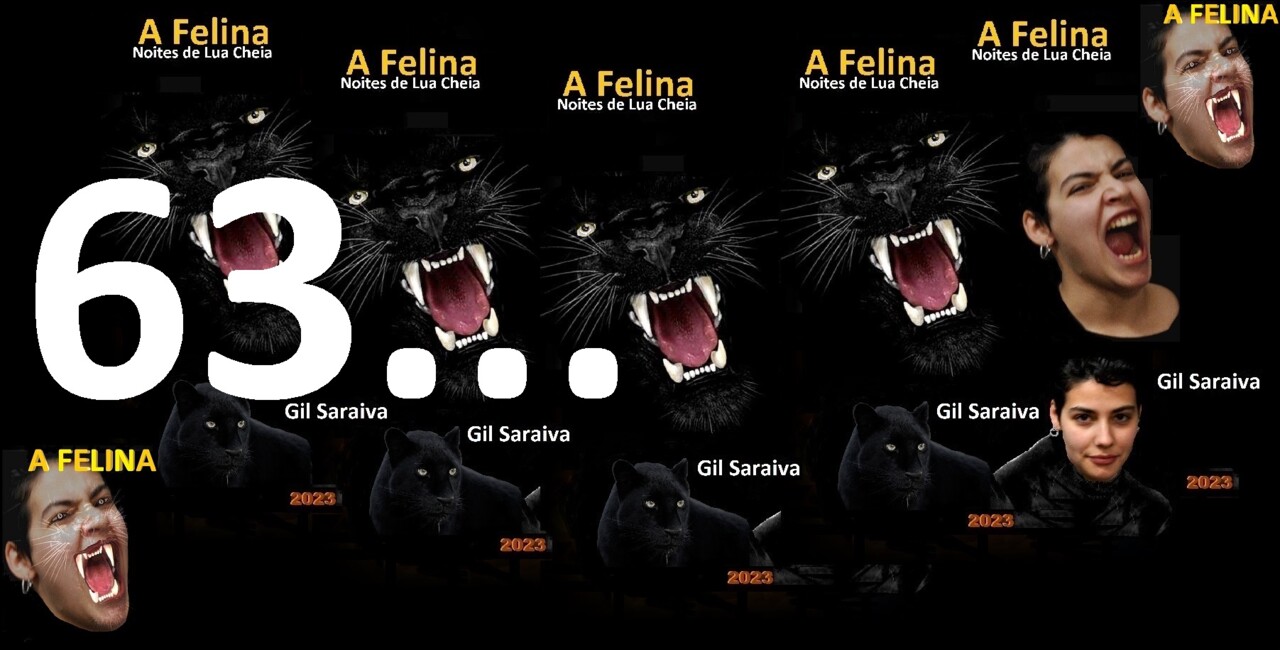 A Felina - 63.jpg