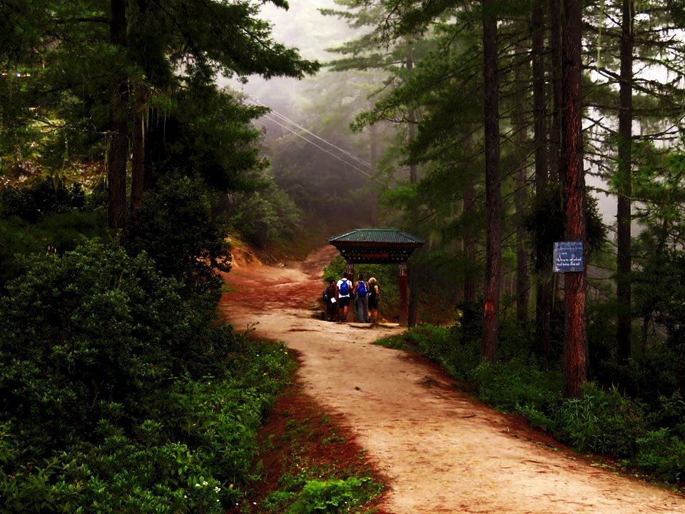 14639605_1160228350681881_4822529073618293491_na