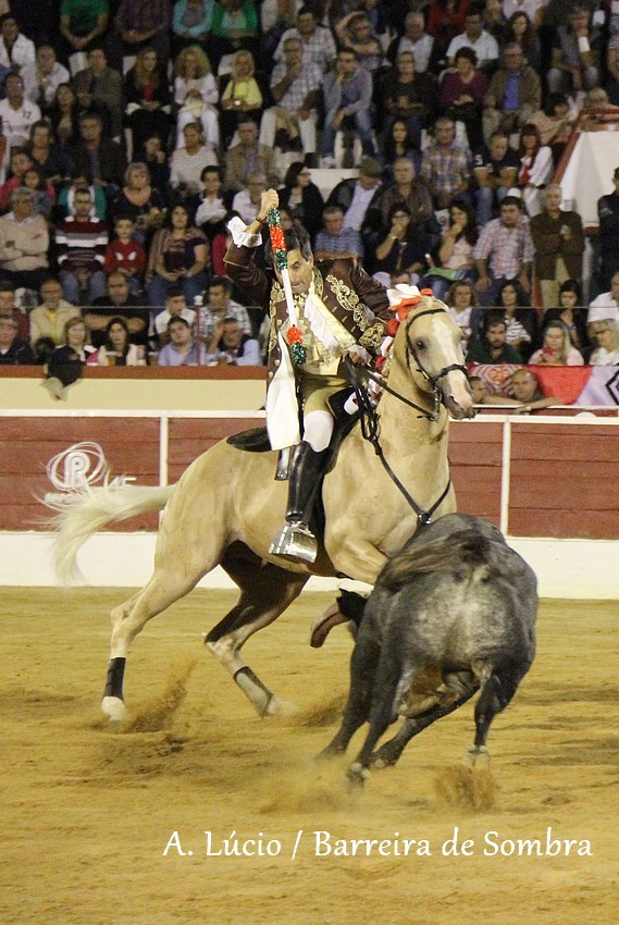 IMG_6919.JPG IMG_6919.JPG