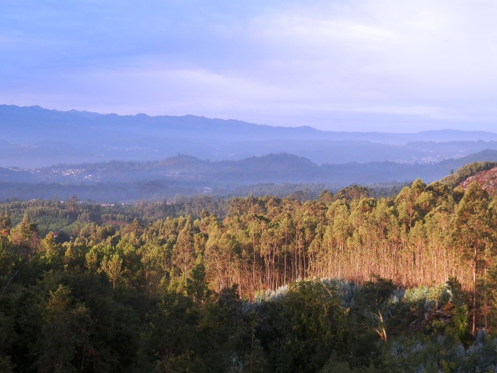 P9120501.JPG P9120501.JPG