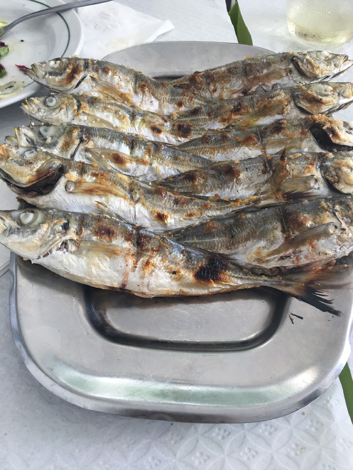 IMG_3964.JPG IMG_3964.JPG