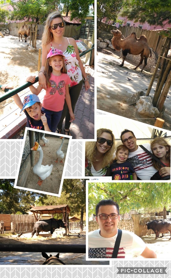 Collage 2017-08-31 23_24_33.jpg