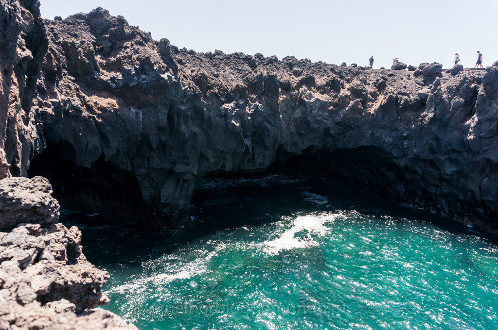 _DSC7461.jpg _DSC7461.jpg