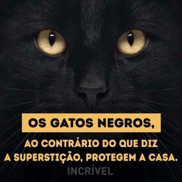 FB_IMG_1494613113711.jpg FB_IMG_1494613113711.jpg