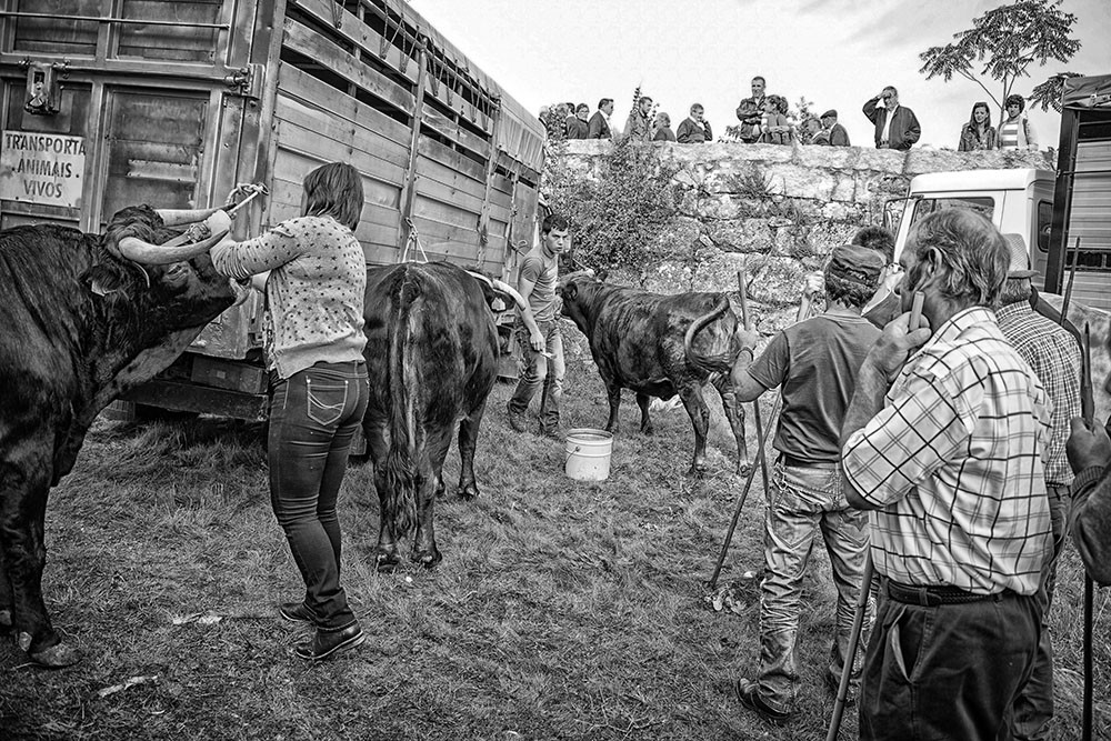 santos 2014 018 - Cópia.jpg