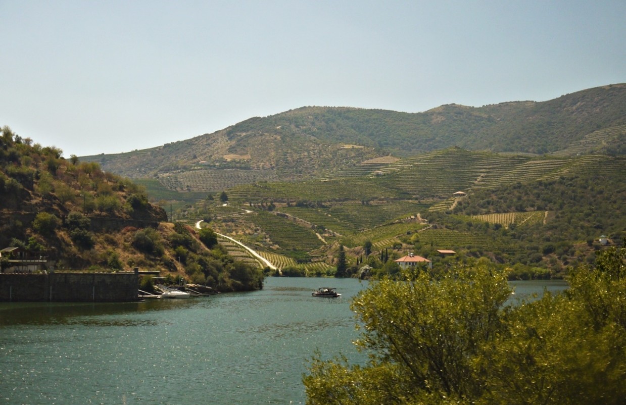 Linha do Douro8.JPG Linha do Douro8.JPG