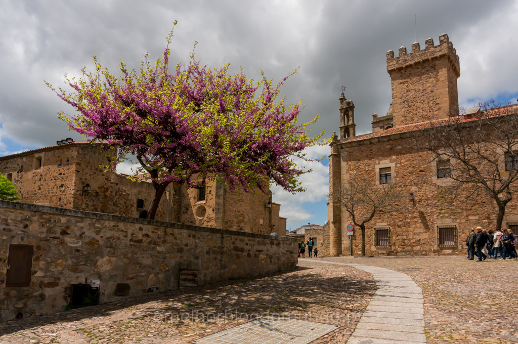 _DSC6296.jpg _DSC6296.jpg