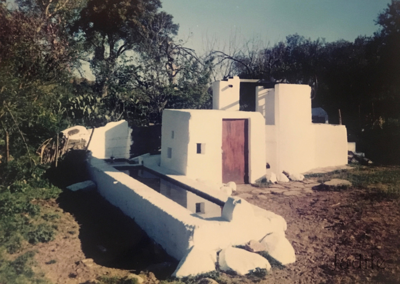 IMG_0142.jpg IMG_0142.jpg