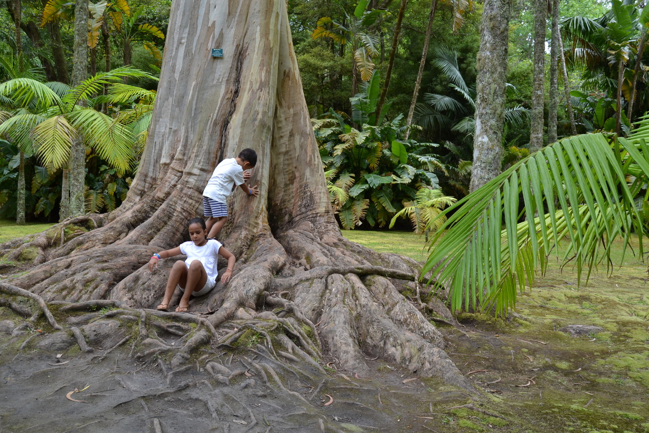 DSC_0223.JPG DSC_0223.JPG