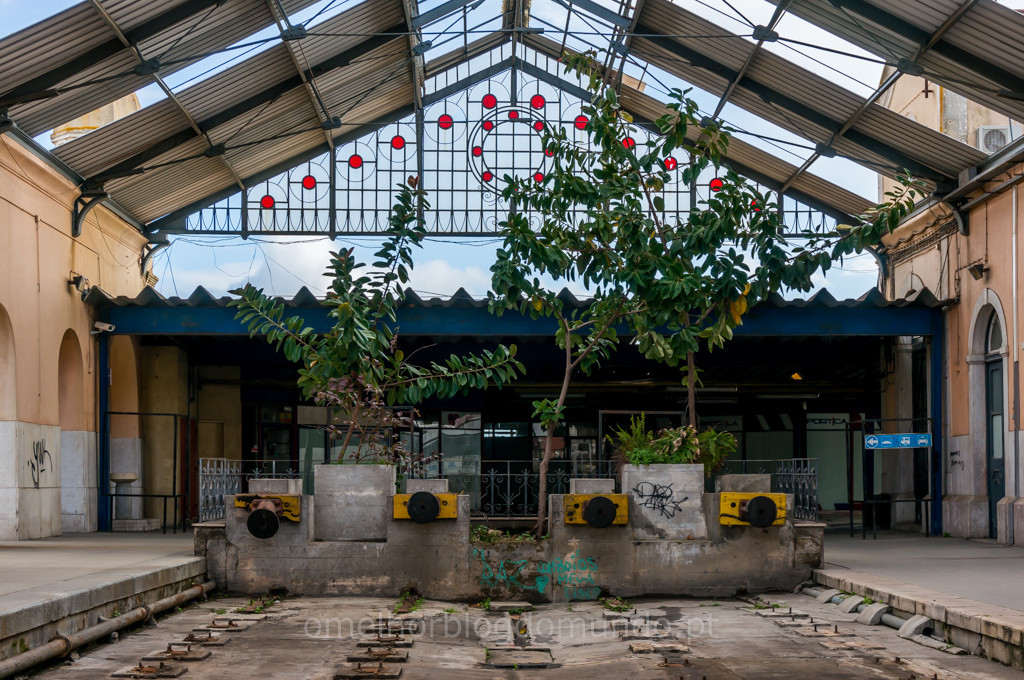 _DSC5589.jpg _DSC5589.jpg