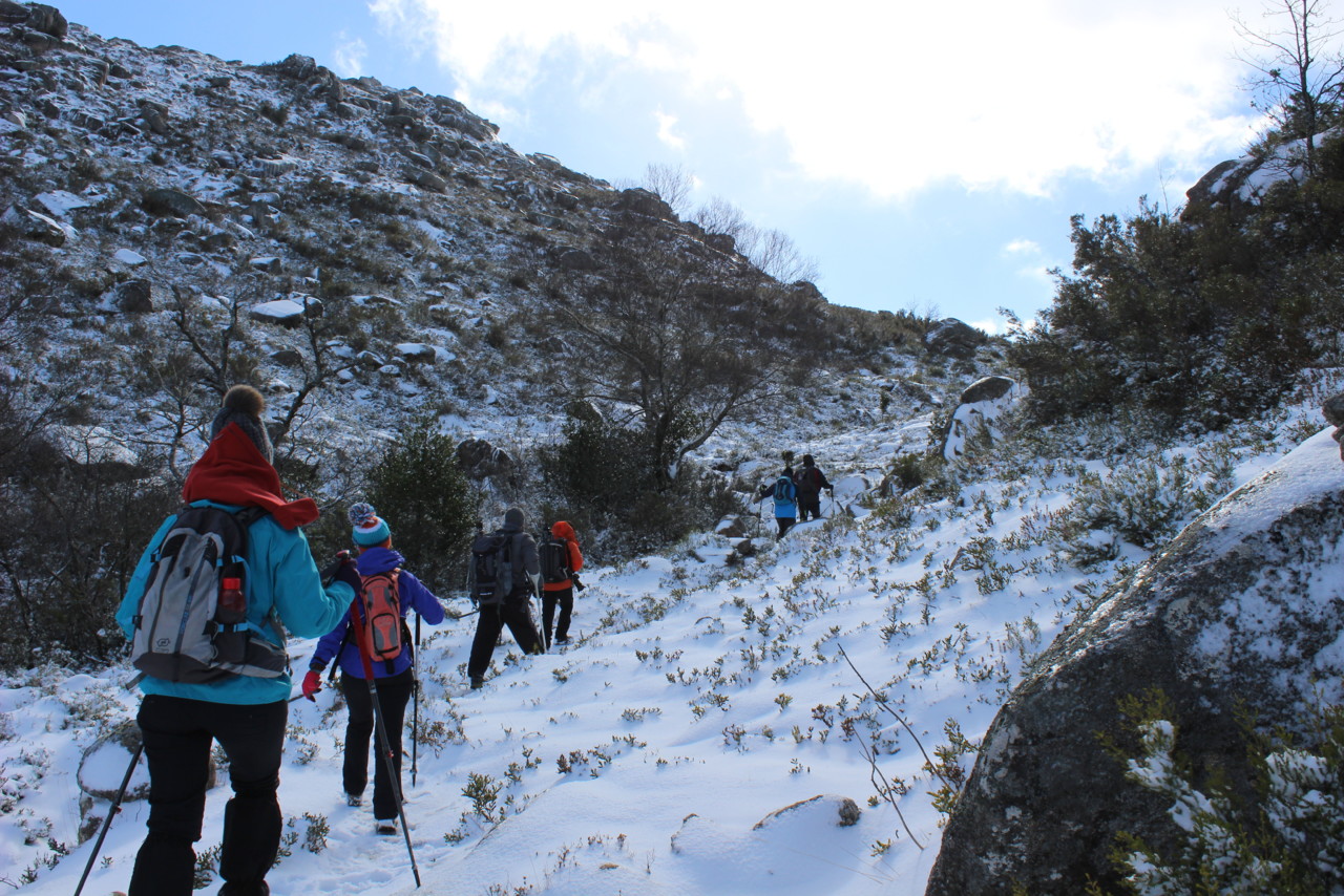 IMG_3076.JPG IMG_3076.JPG