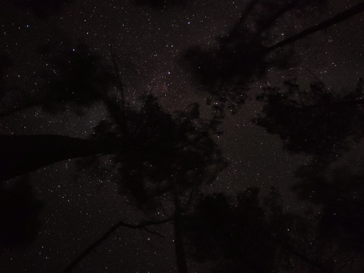 Céu estrelado no Gerês.jpg