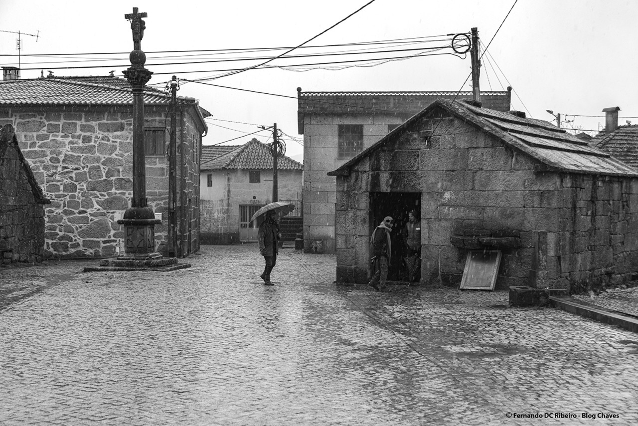 1600-covas (237).jpg