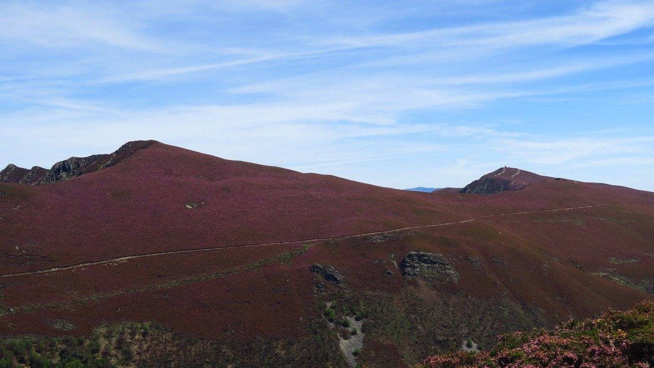 18738412_1567414563269640_4732412303797510518_o.jp