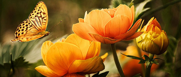 adoro-esta-palavra-esperanca1.jpg adoro-esta-palavra-esperanca1.jpg