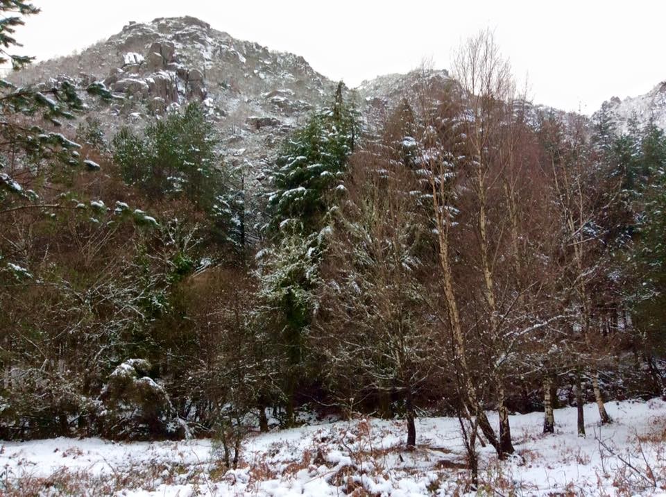 12743539_1654760238121128_9167094637493436793_n.jp