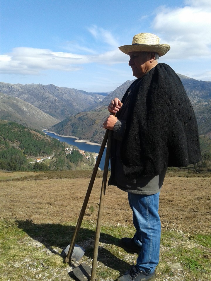 Plantacao500Arvores_6