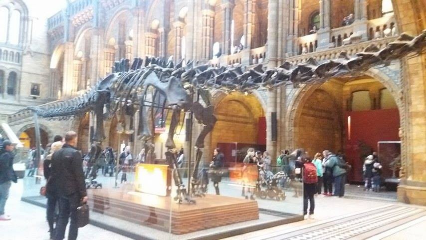 12607259_1093235290707254_519687326_n.jpg 12607259_1093235290707254_519687326_n.jpg