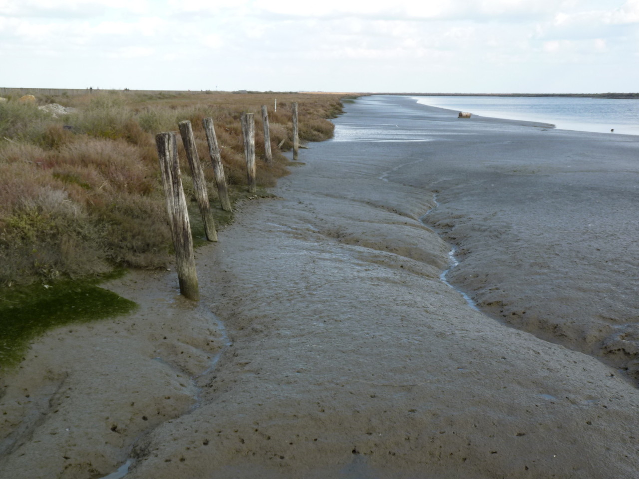 Parque Linear Ribeirinho do Estuário do Tejo (17)