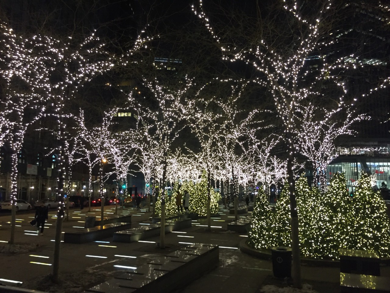 IMG_8648.JPG IMG_8648.JPG