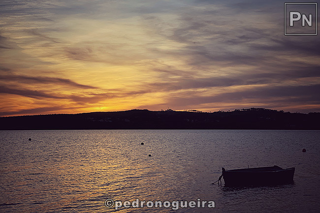 Fev_2021_038a 3_2 650px.jpg