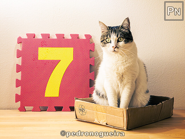 Abr_2023_039 650px.jpg