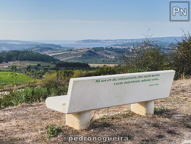 Set_2025_057 650px.jpg