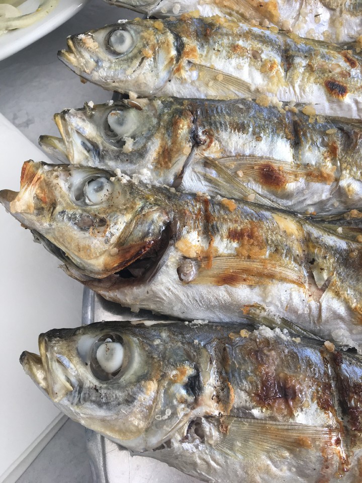 IMG_3965.JPG IMG_3965.JPG