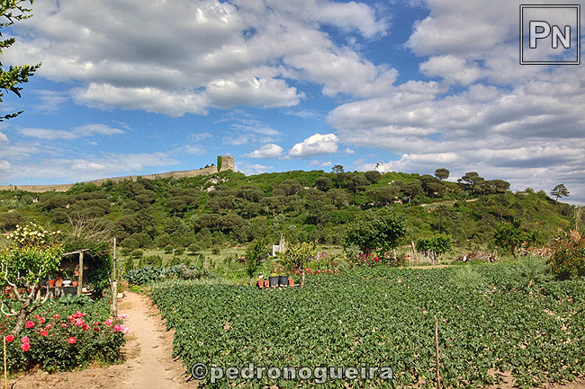 Abr_2017_144a 3_2 650px.jpg Abr_2017_144a 3_2 650px.jpg