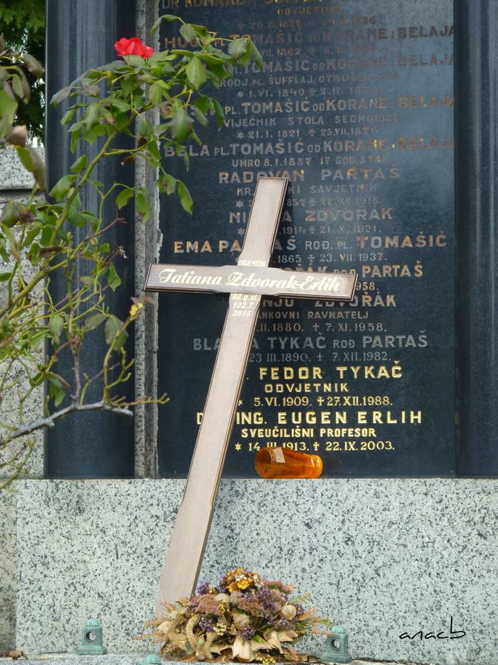 P1370954 cópia assin.jpg