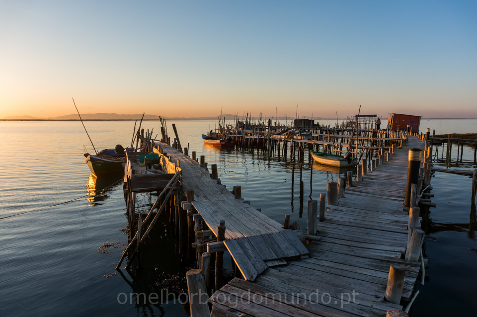 DSC08470.jpg DSC08470.jpg