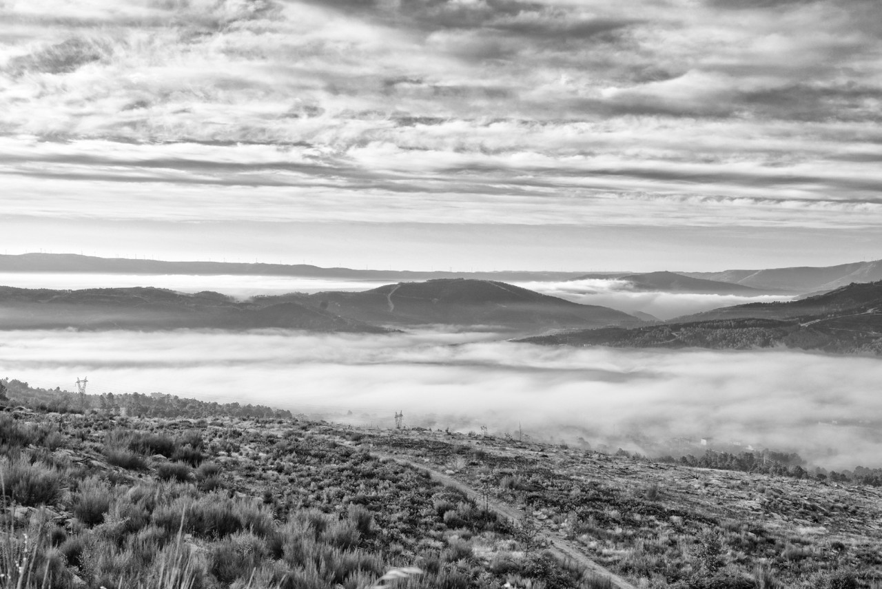 _JMF7224 - cópia copy.jpg