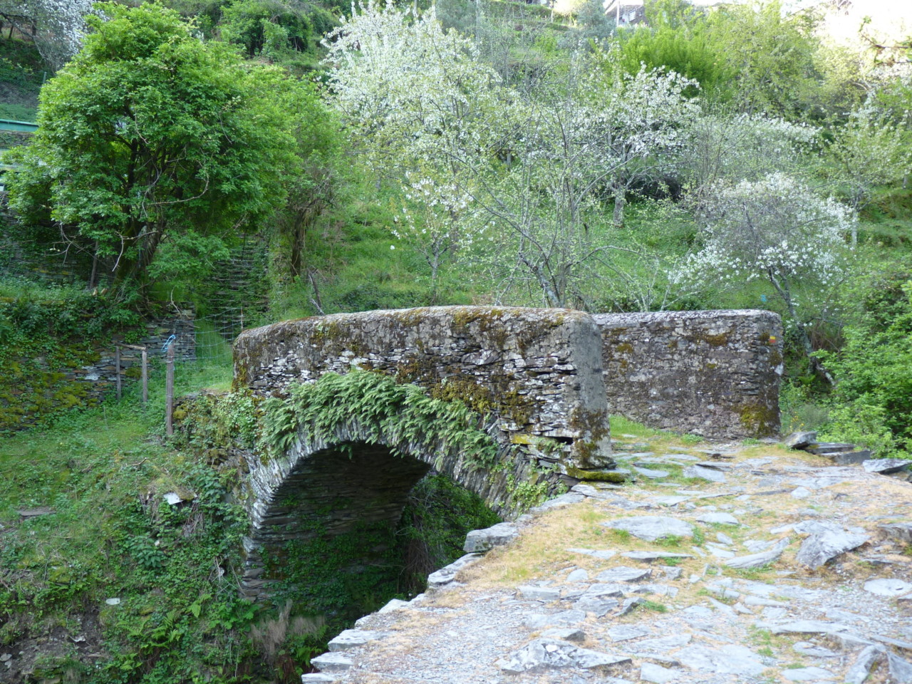 Piódão (3).JPG Piódão (3).JPG