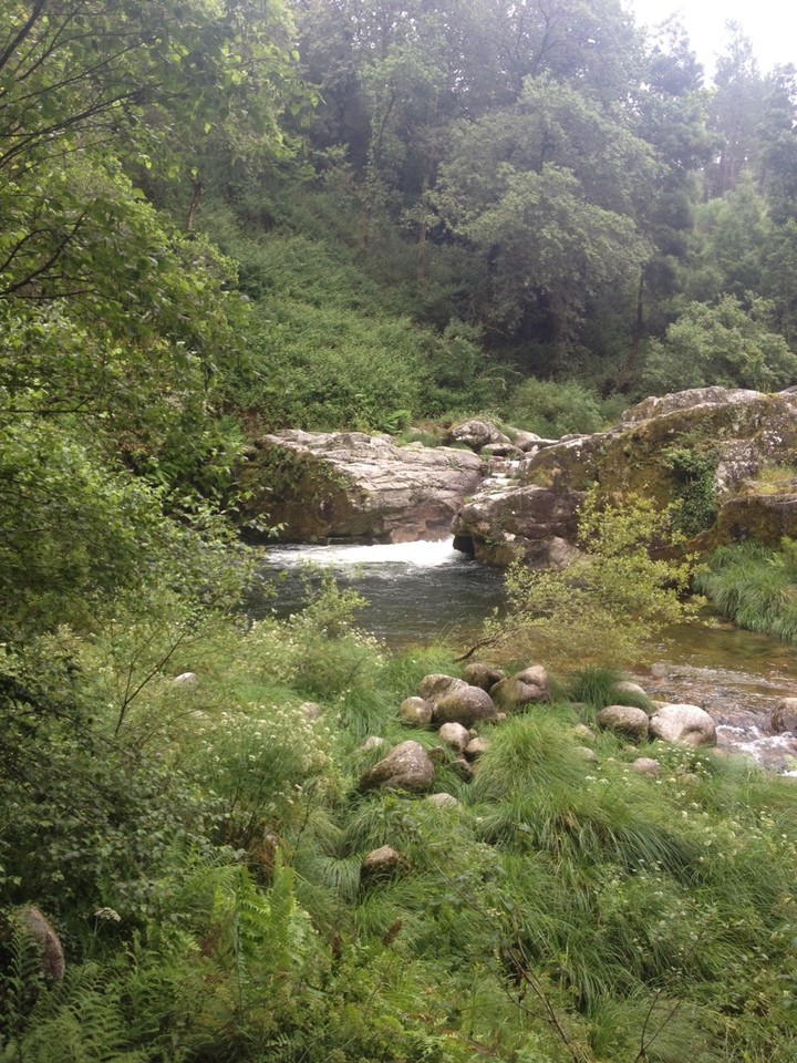 19706727_mtJrC.jpeg 19706727_mtJrC.jpeg