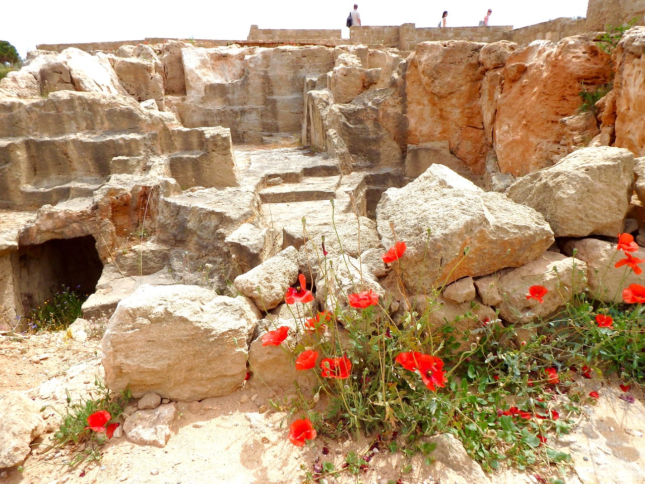 FullSizeRender.jpg FullSizeRender.jpg