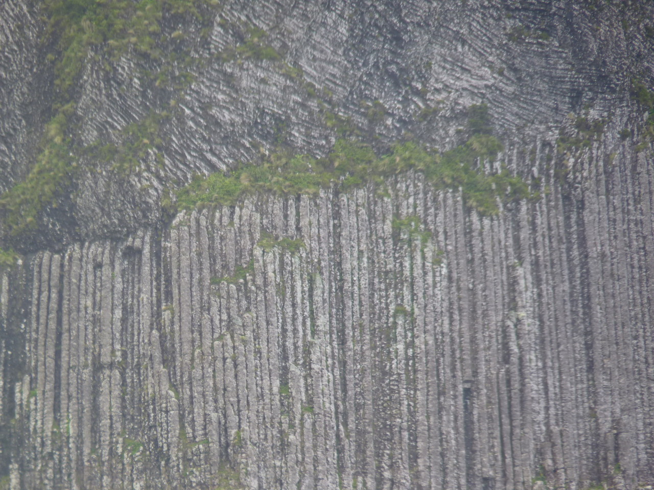 Flores - Rocha dos Bordões (2).JPG