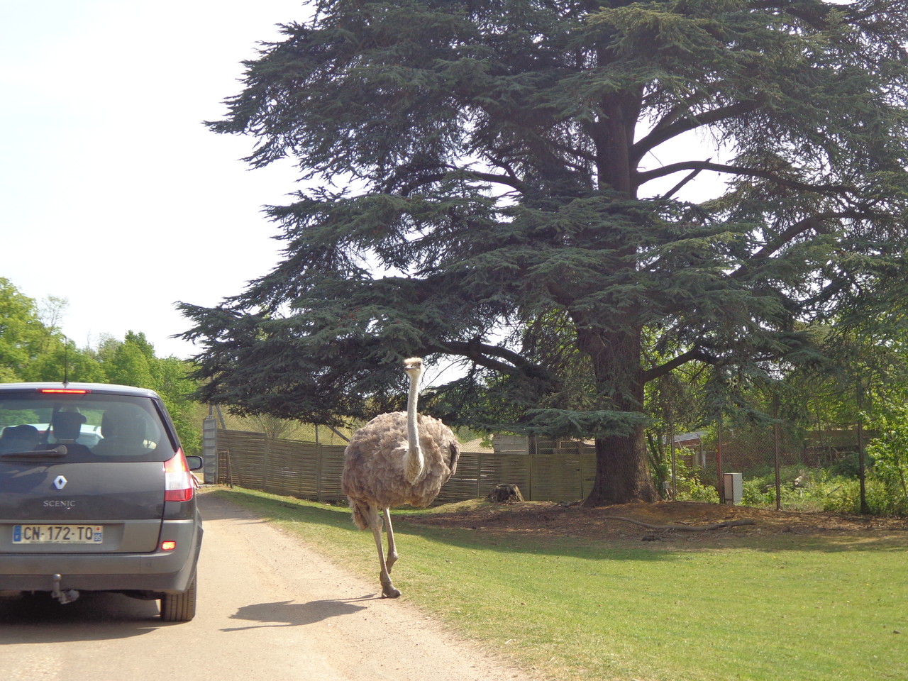 DSC09357.JPG DSC09357.JPG