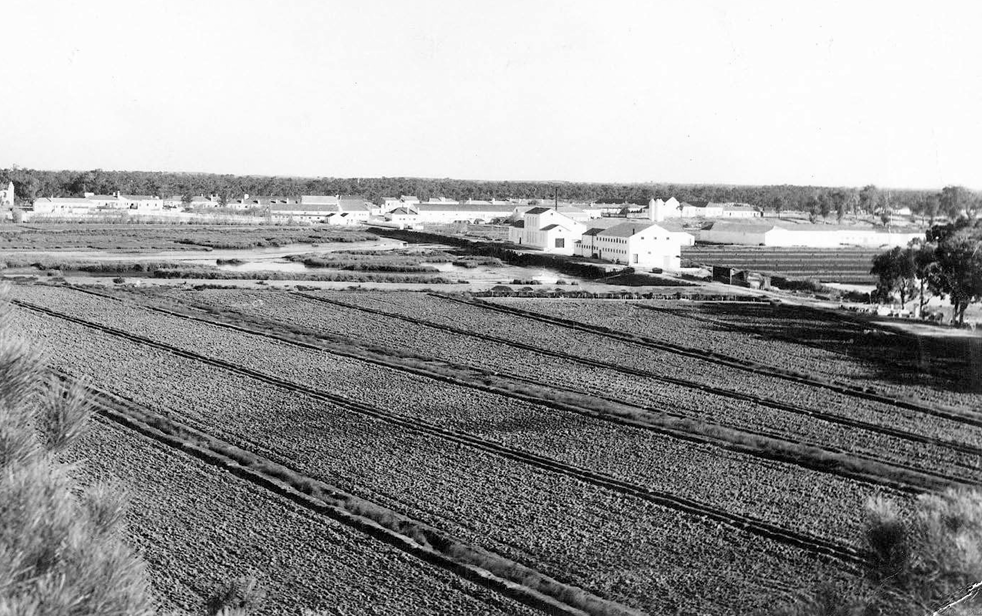 vista geral herdade da comporta.png